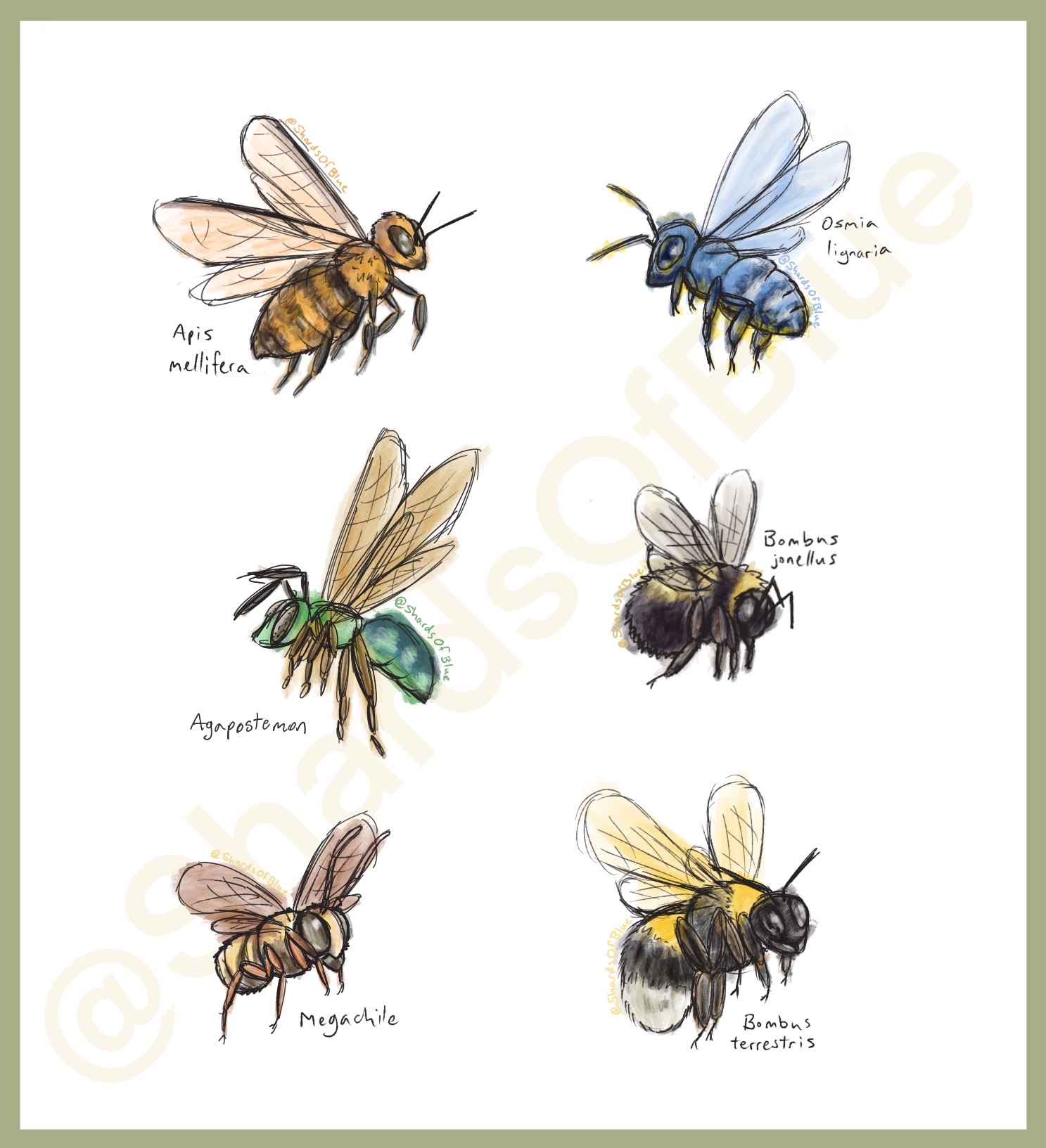 bees-watercolor-style